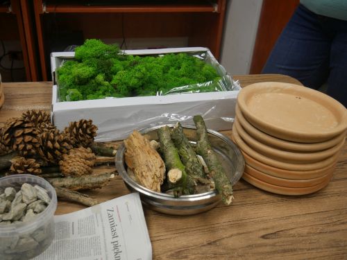 materiały plastycze - naczynia, mech, gałęzie i szyszki na stole
