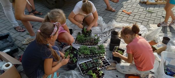 na zdjęciu widoczne dzieci sadzące roślinki