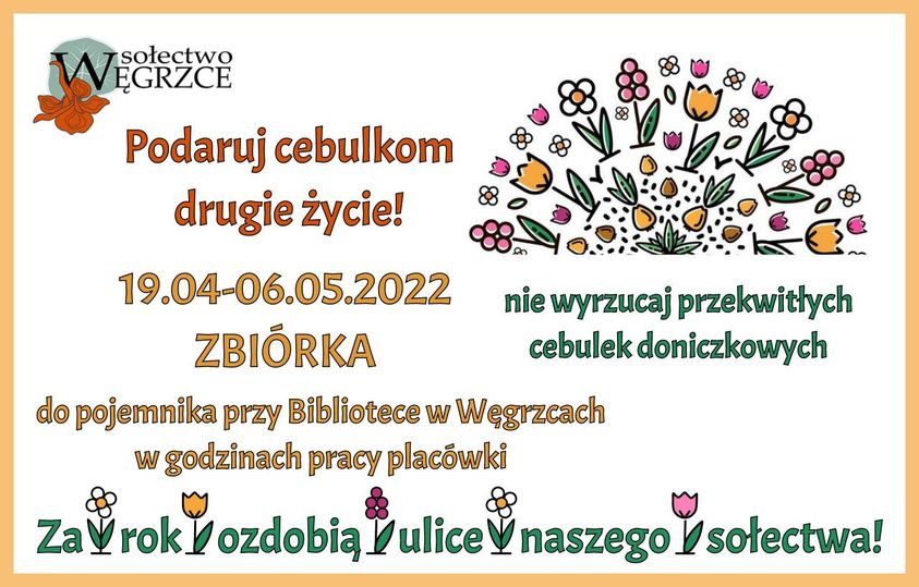 plakat informacyjny na temat zbiórki cebulek po przekwitniętych kwiatach w dniach 19.04-6.05.2022 przed Biblioteką w Węgrzcach